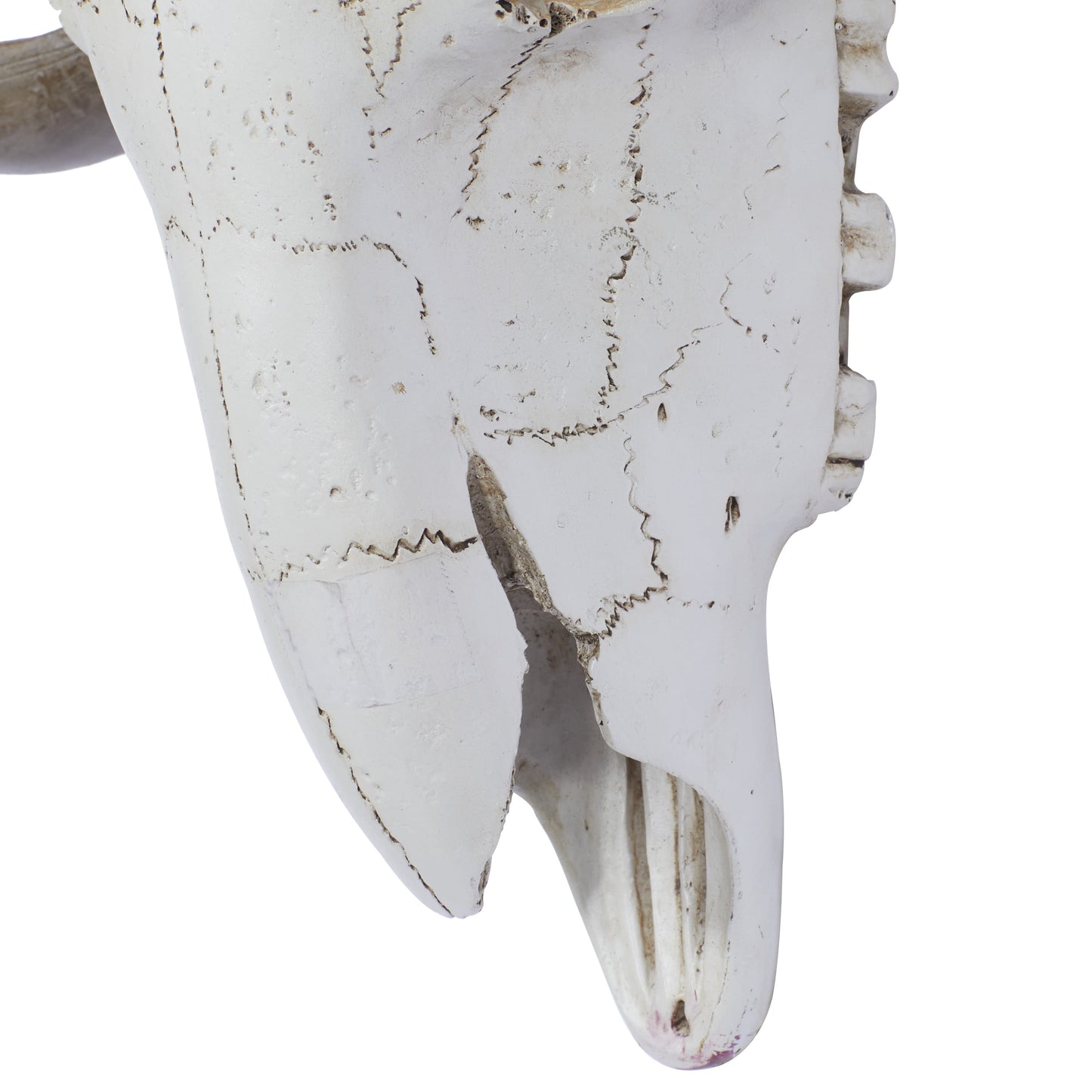 White Polystone Skull Sheep Wall Decor