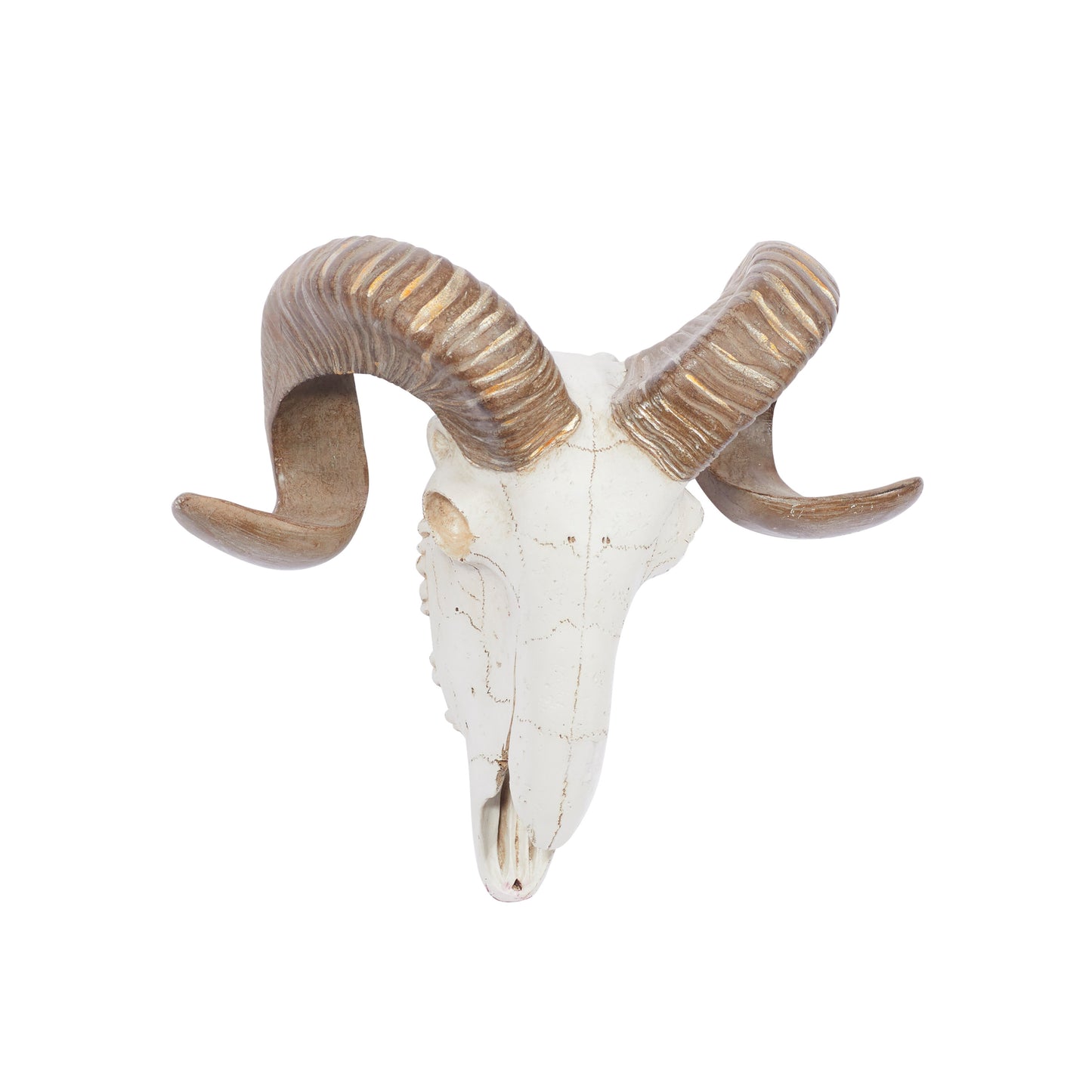 White Polystone Skull Sheep Wall Decor