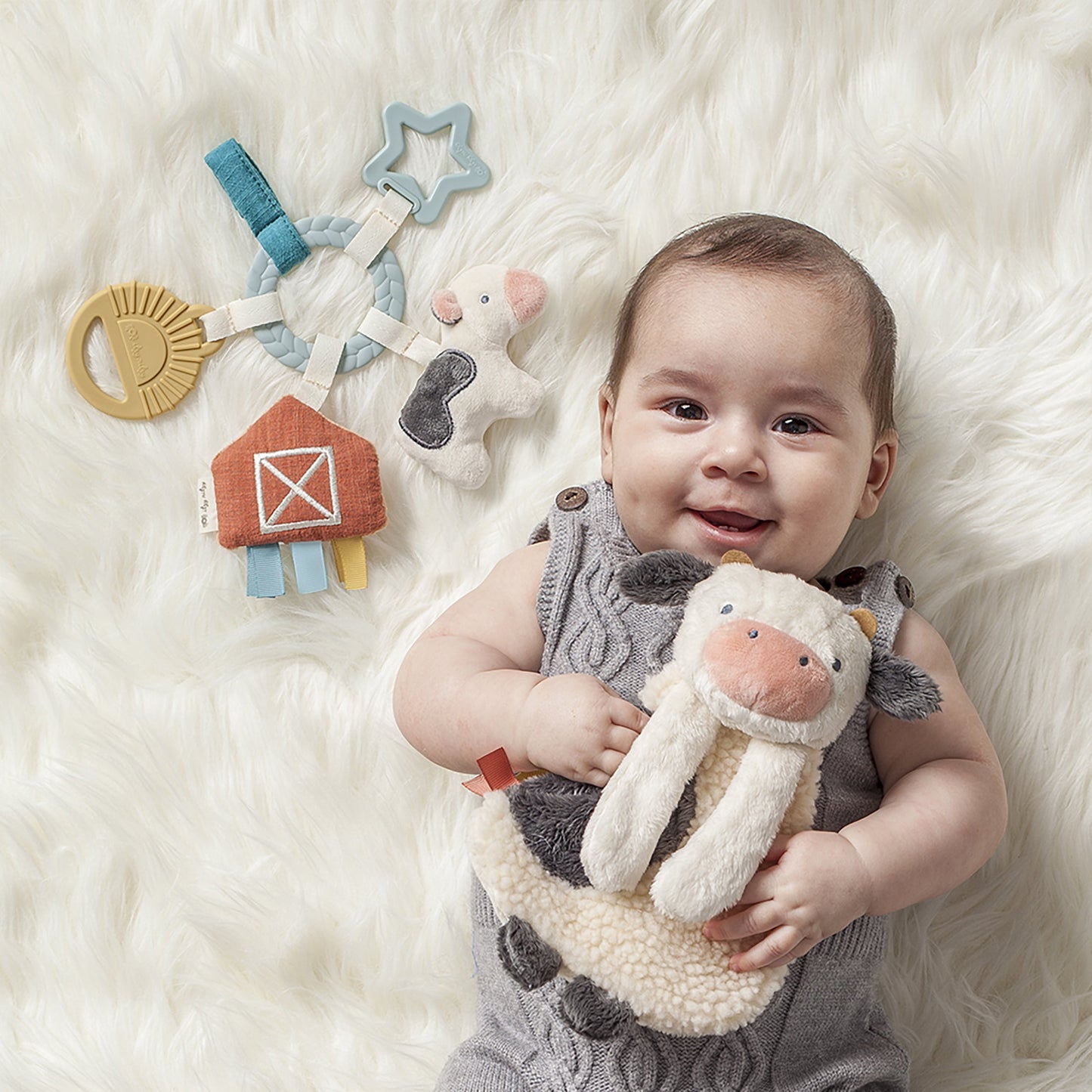 Bitzy Busy Toy & Teether Unisex Gift Set - Farm 0M+ Multi Color