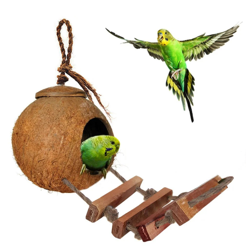 Natural Coconut Shell Nest & Hanging Bird House with Ladder