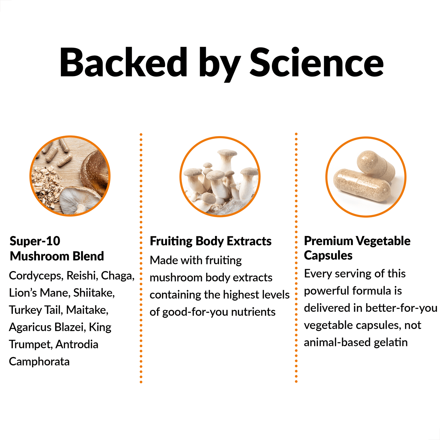 Modern Mushrooms Capsules, Mushroom Complex with Lion'S Mane Supplement, 90 Capsules by