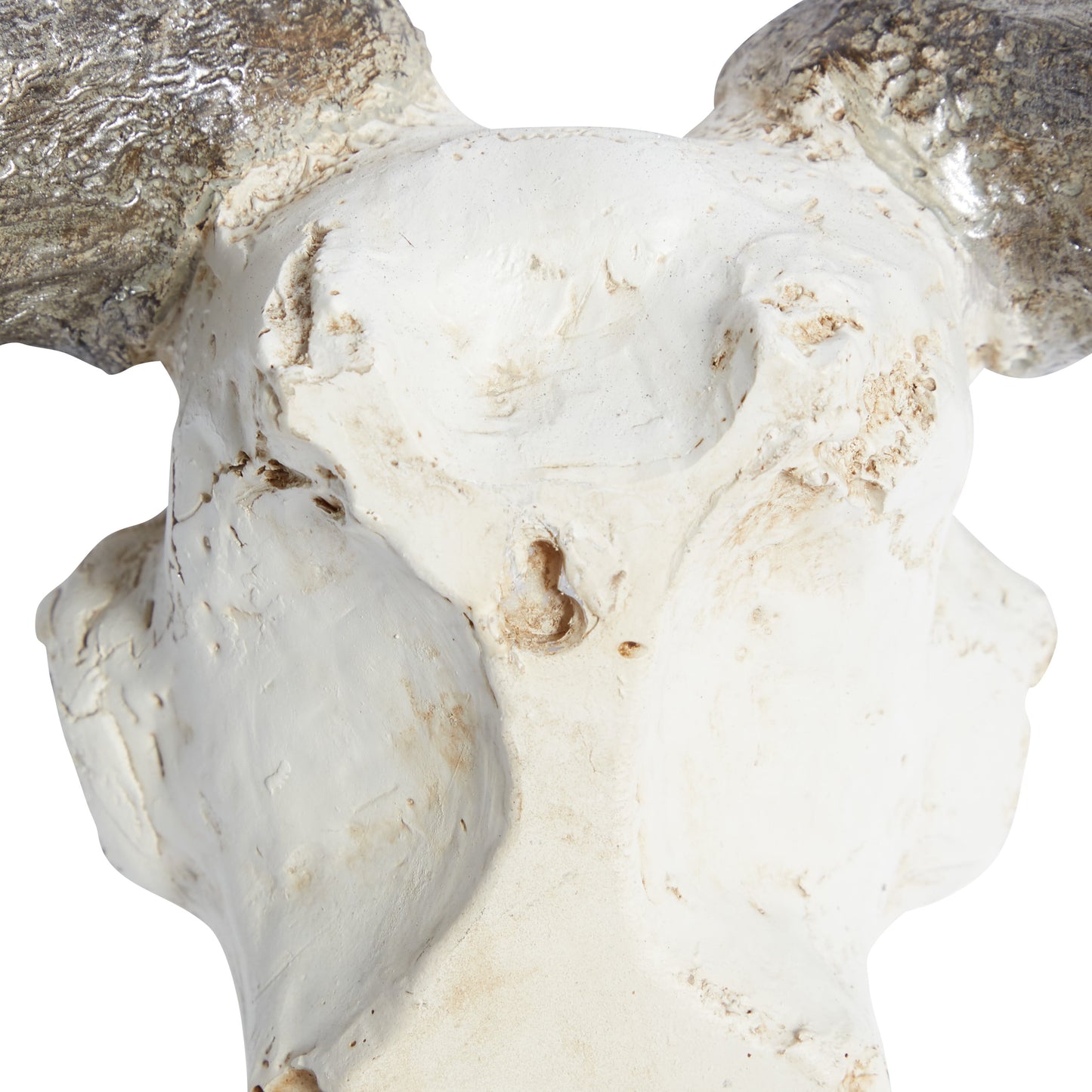 White Polystone Skull Cow Wall Decor