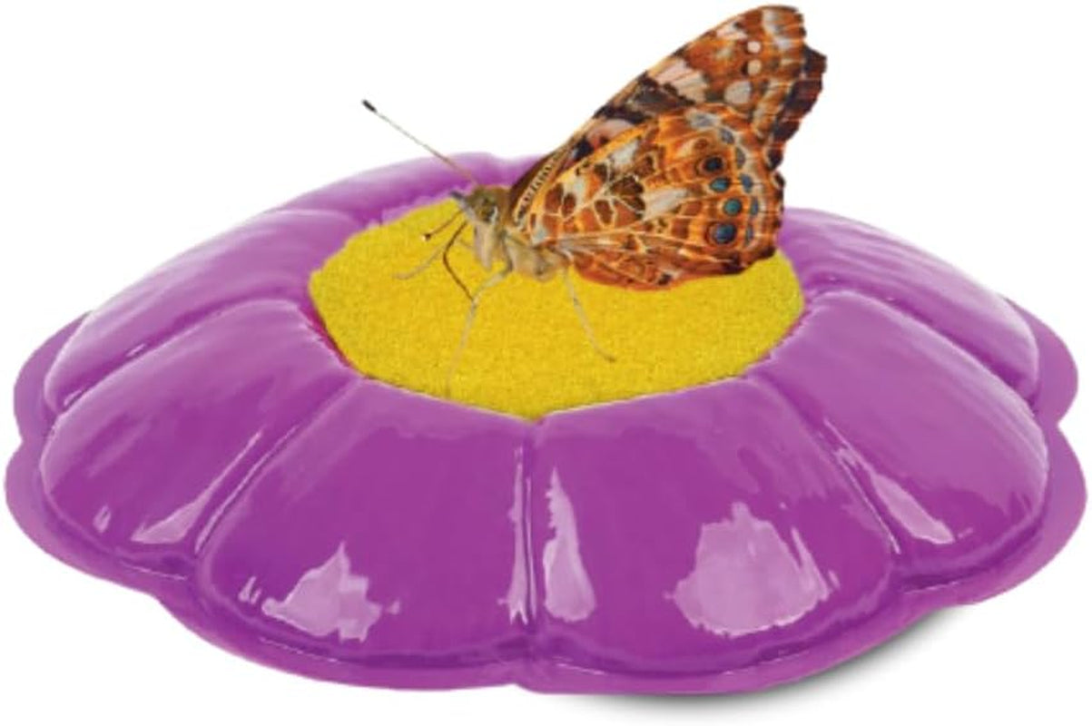 Butterfly Farm™ | Butterfly Kit with Live Cup of Caterpillars | 5 Caterpillars, Reusable Habitat, STEM Butterfly Journal & More