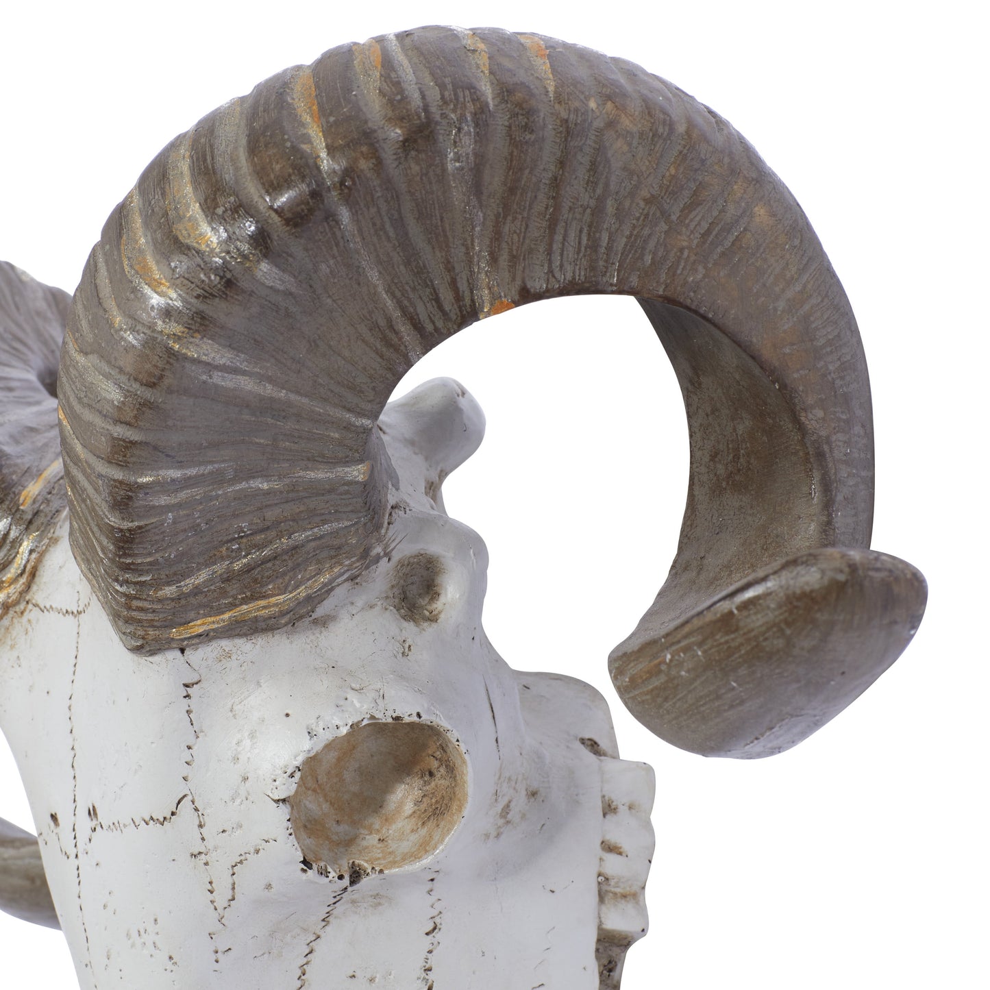 White Polystone Skull Sheep Wall Decor