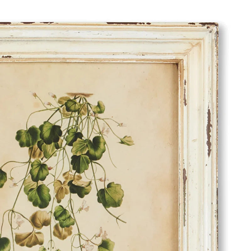 " Wild Flower Botanical " 12 - Pieces