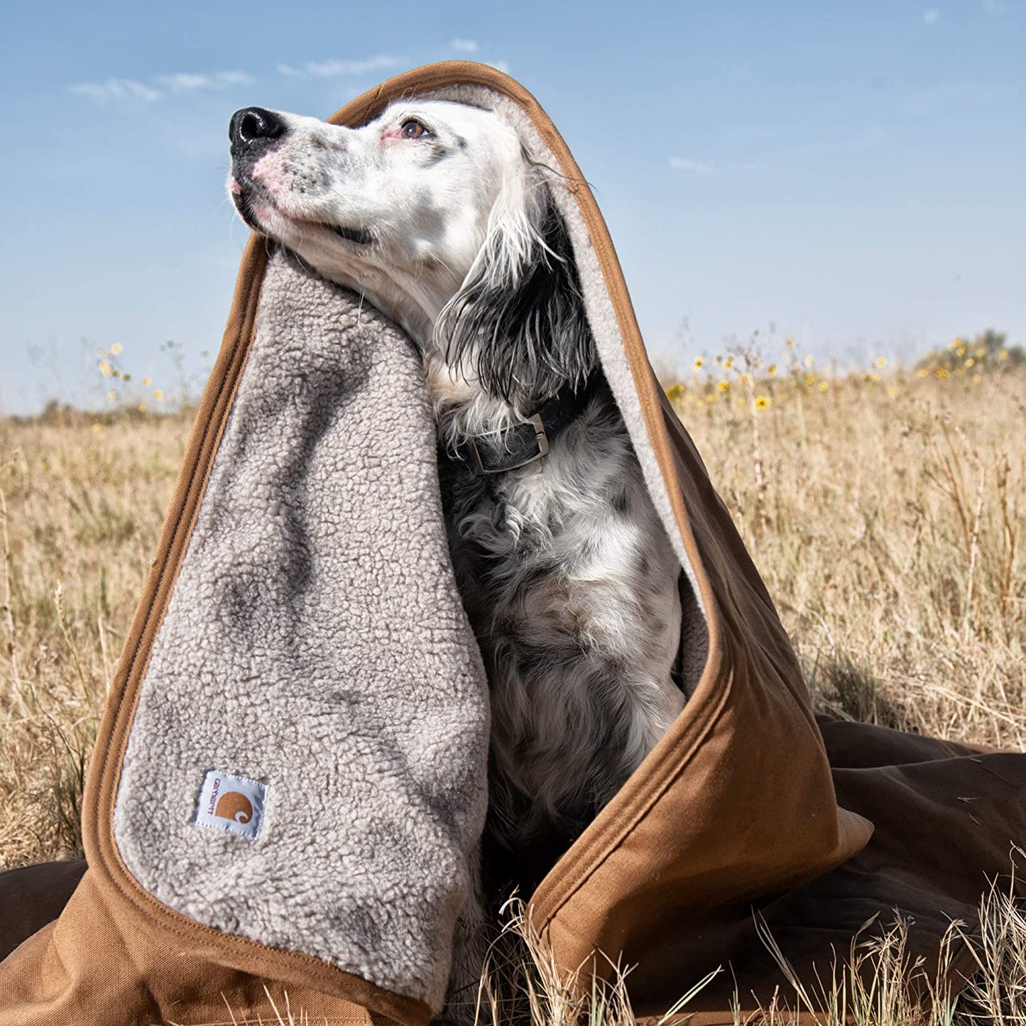Firm Duck Sherpa-Lined Throw Blanket, Reversible Pet Blanket with Water Repellent Coating, Brown
