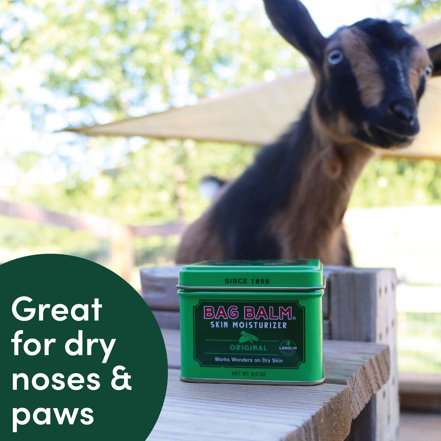 Vermont’S Original , Skin Moisturizer for Dry Skin, 8Oz Tin