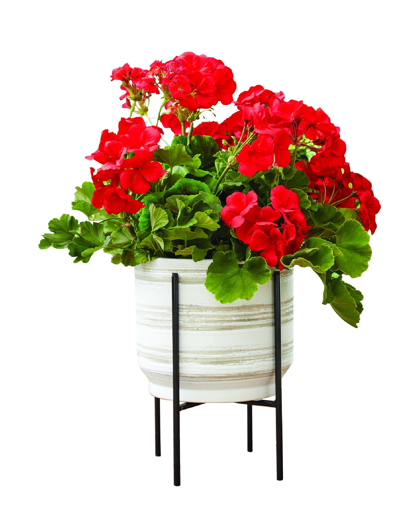 8 Inch Black Metal Versatile Plant Stand