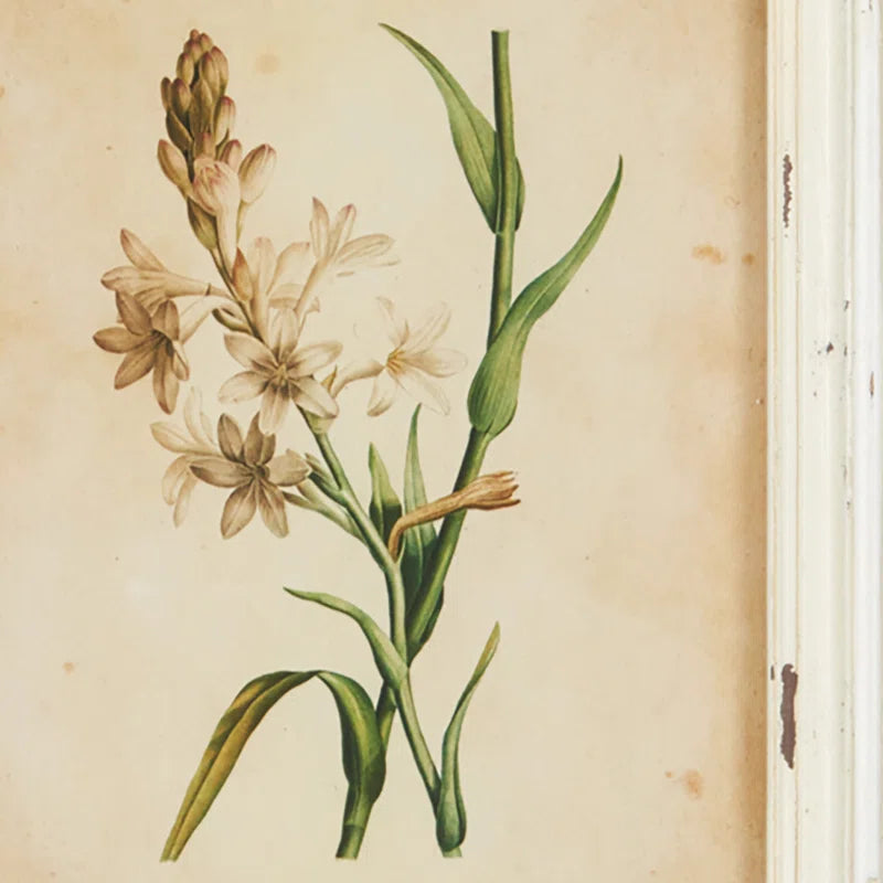 " Wild Flower Botanical " 12 - Pieces