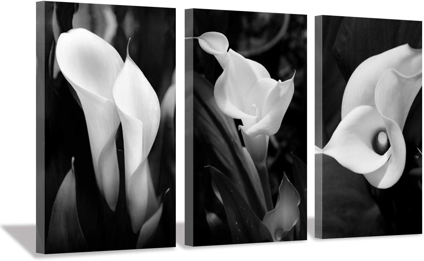 Floral Canvas Wall Art Print: Flower Bloom Picture Graphic Artwork Painting for Washrooms (12"X12"X3Pcs)