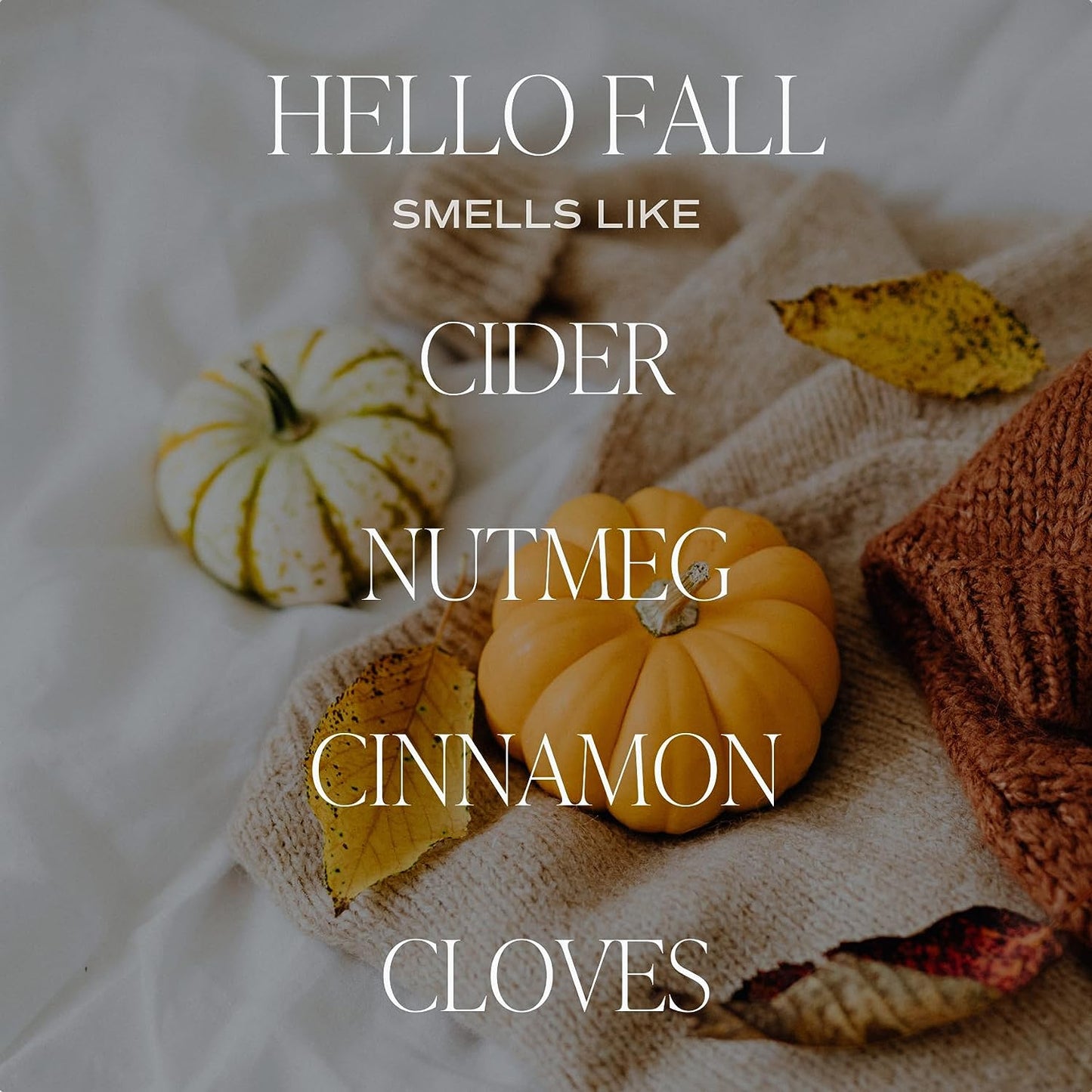 Hello Fall Reed Diffuser Set - Hot Cider, Cinnamon, Cloves, Apple, and Nutmeg Scented Diffuser - Scent Diffusers for Home, Long Lasting Fragrance, Made in the USA