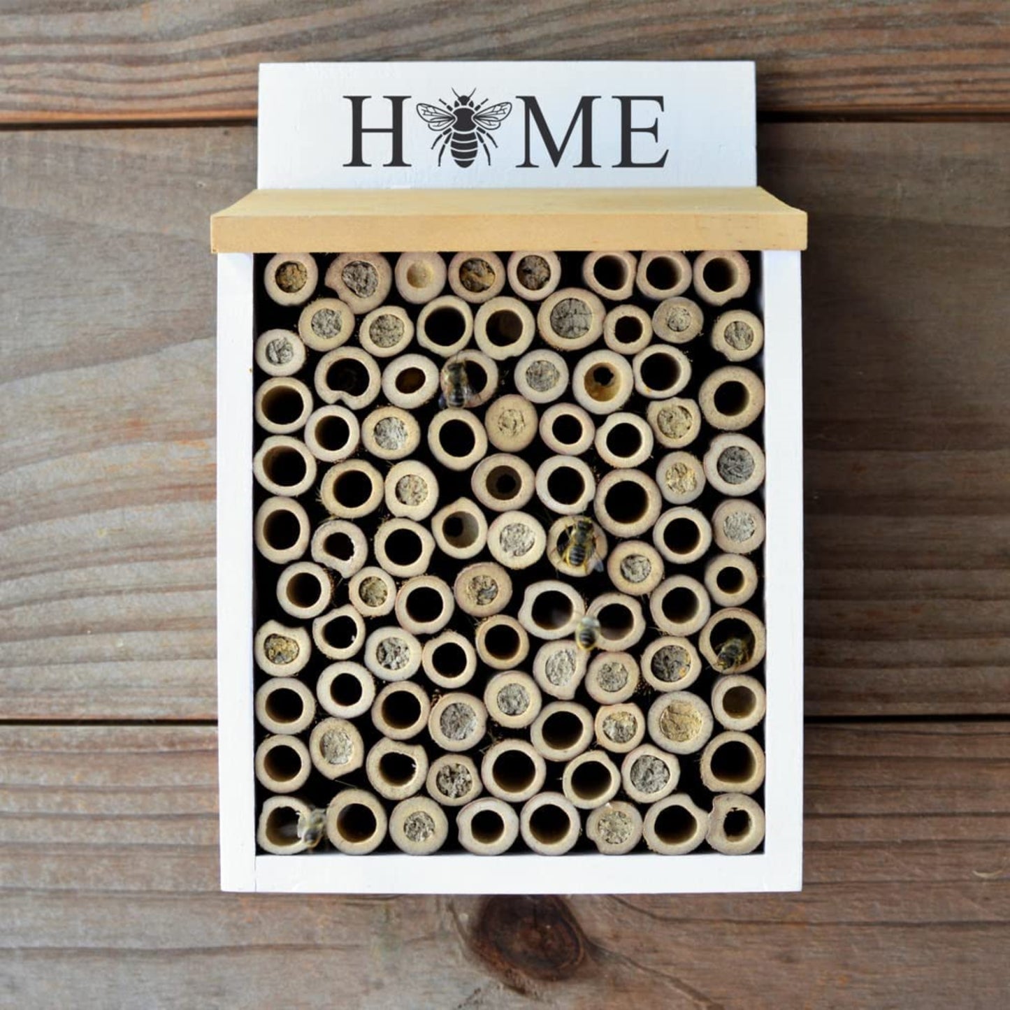 Better Gardens Wood Farmhouse Pollinator Home, White