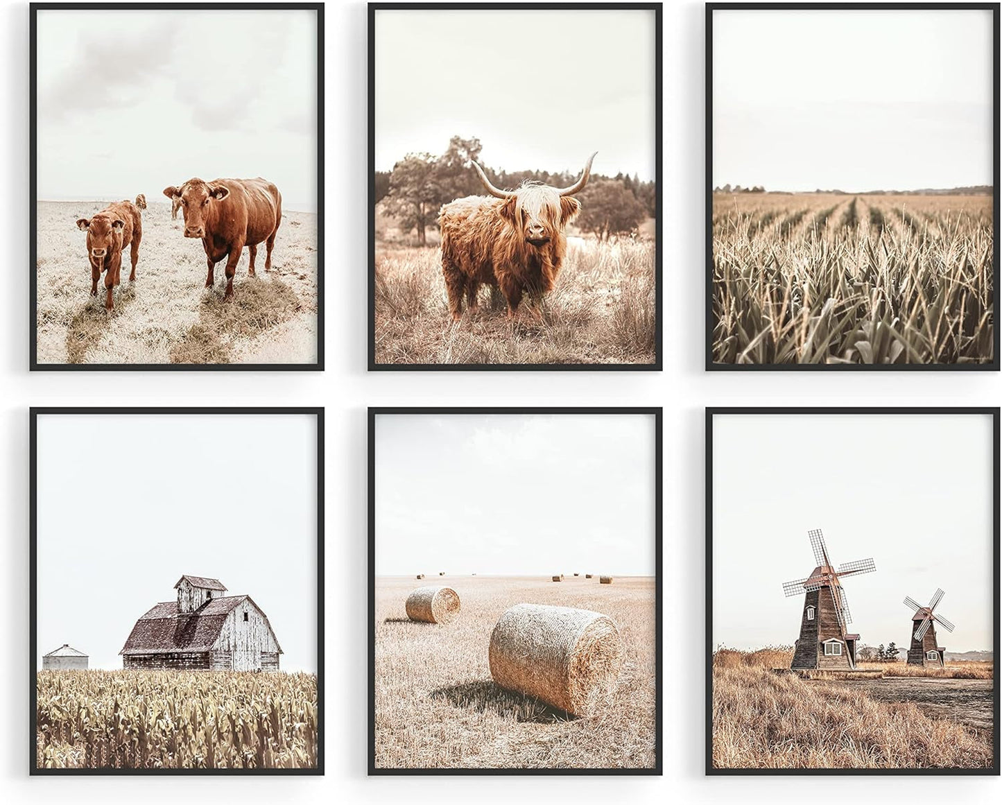 Highland Cow Art and Farmhouse Wall Decor Cow Wall Art and Farmhouse Pictures | Cow Decor | Cow Prints Wall Art | Cow Pictures Wall Décor