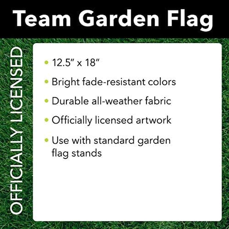 United States Air Force Academy NCAA Garden Flag 12.5" X 18"