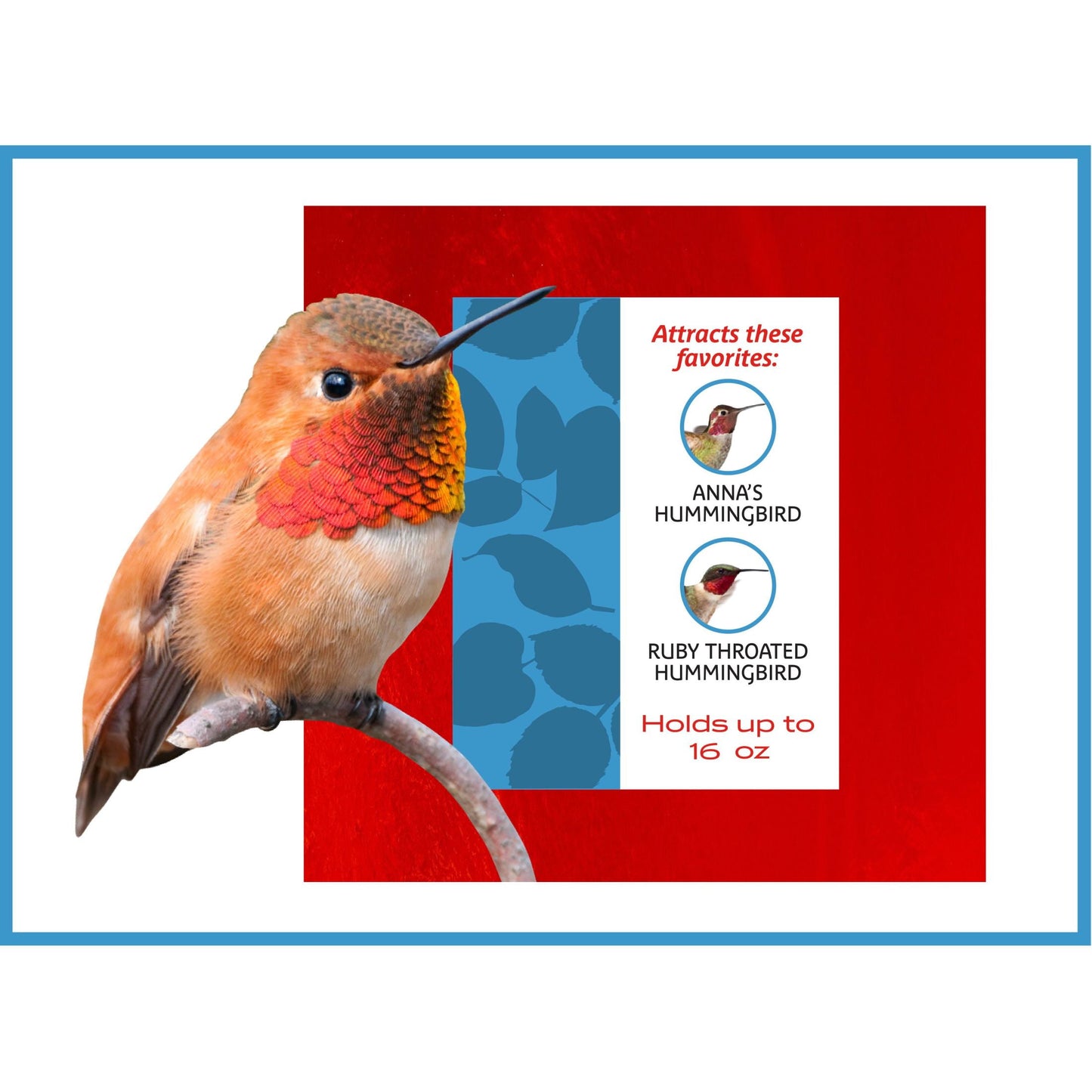 Glass Red Hummingbird Feeder, 16 Oz Nectar Capacity