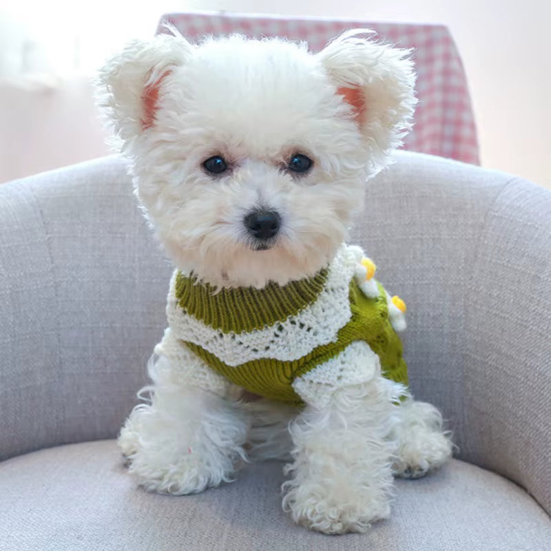Pet Cute Sweater 3D Classic Flowers Blossoming 2-Legged Knit Clothes for Cold Weather Small Medium Dog Cat New Arrival