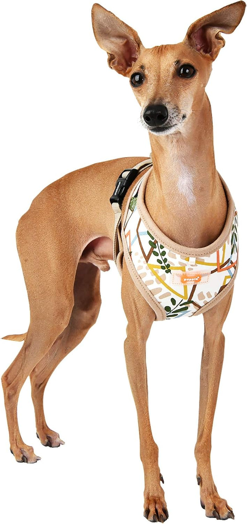 Botanical Harness a - Beige - L