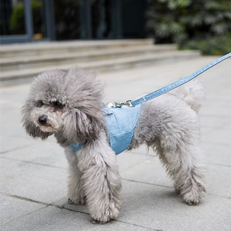 Cute Pet Chest Strap Breathable Dog Walking Rope for Small Dogs Pomeranian Corgi Pet Vest Harness Rope Pet Dog Harness Leash Set