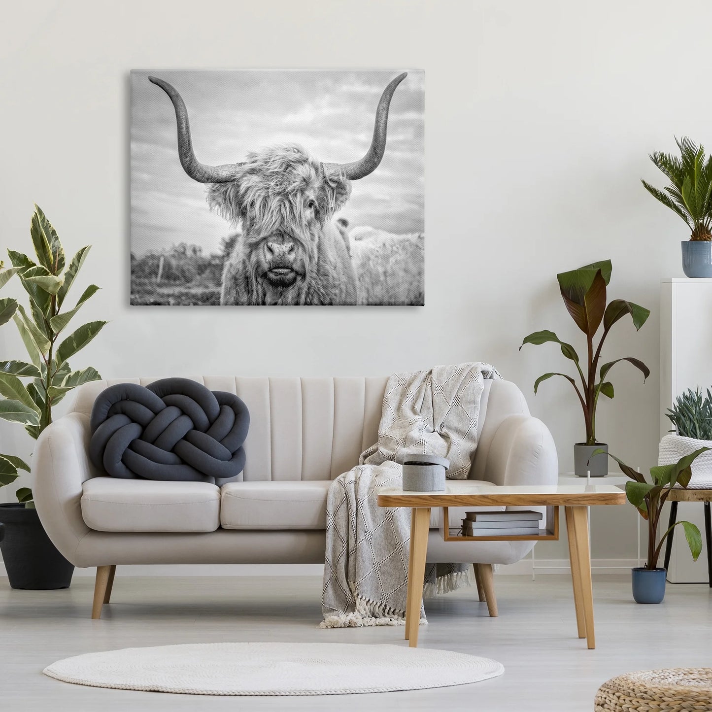 Black and White Highland Cow Photograph Canvas Wall Art by Joe Reynolds