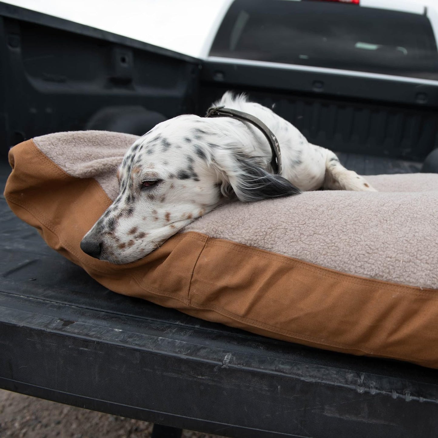 Firm Duck Dog Bed, Durable Canvas Pet Bed with Water-Repellent Shell, Brown with Sherpa Top, Large