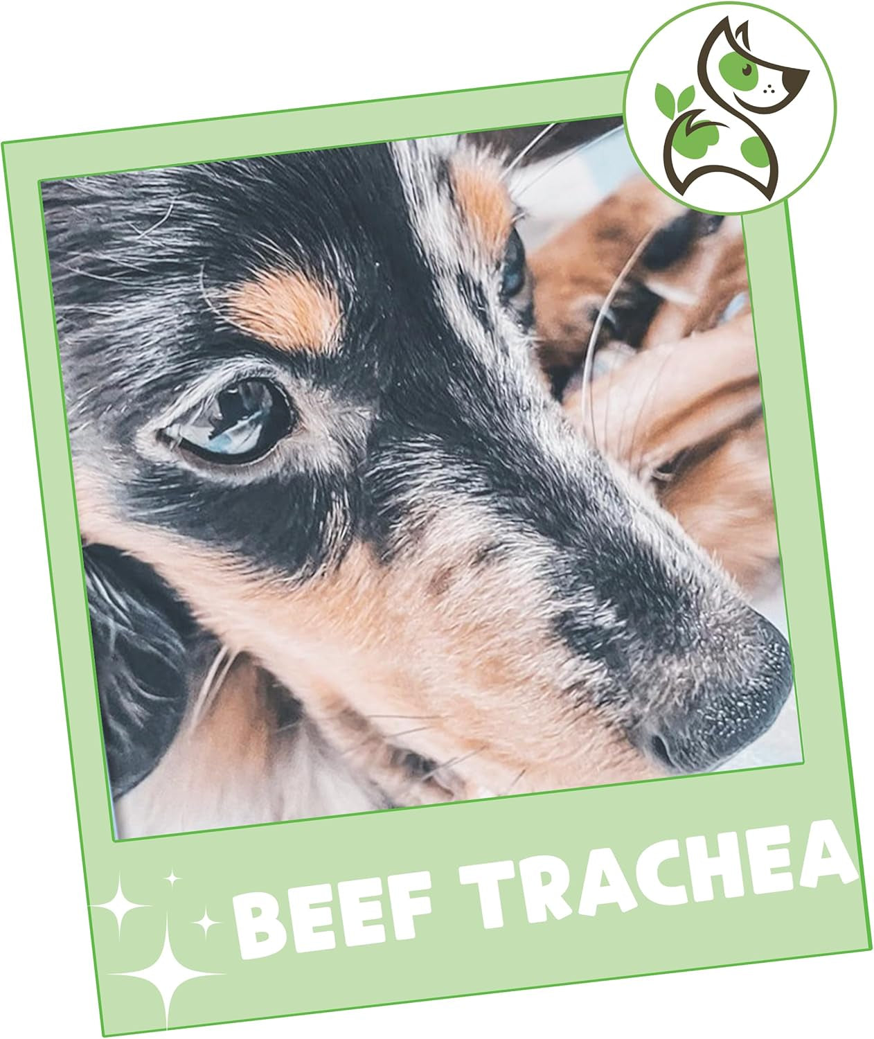 Beef Trachea Chews for Dogs 3" (12 Count) - Long Lasting Natural Crunchy Dog Chew Bones - Rawhide Free