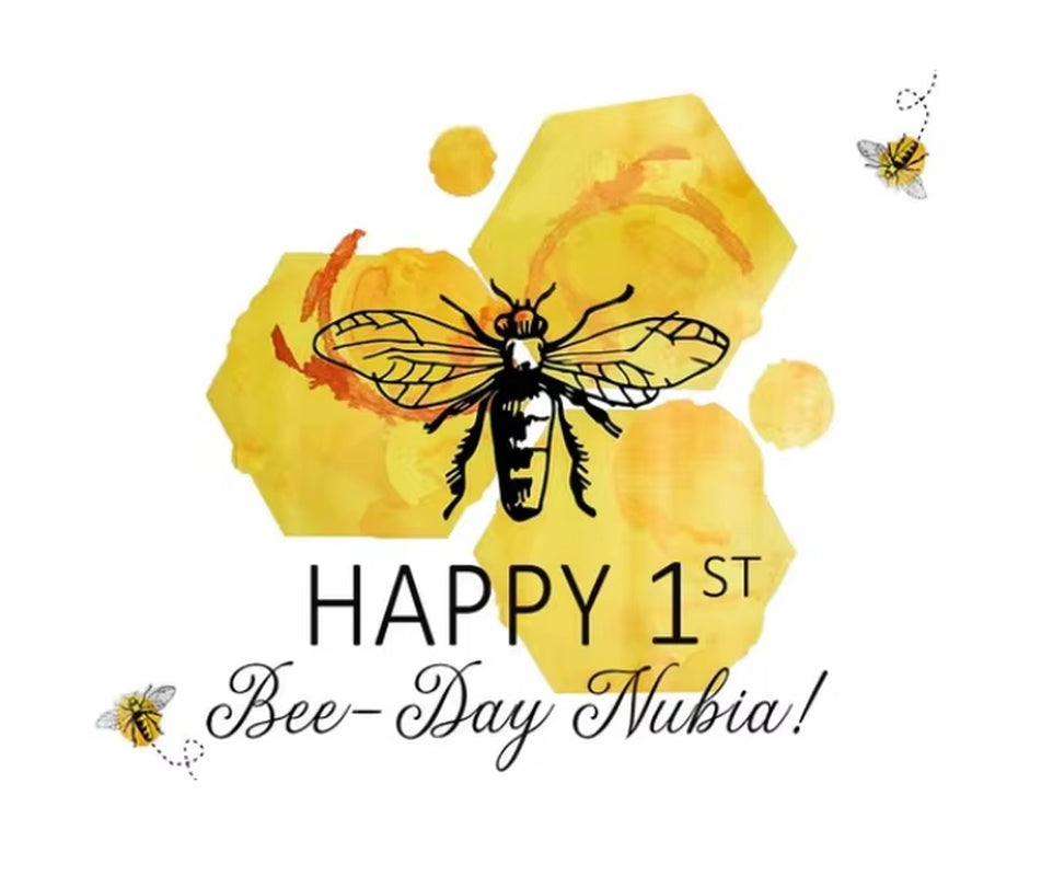 Maya the Bee Photography Background Sunflowers Baby Bee Day Newborn Backdrops Photo Studio Birthday Party Backdrops Custom