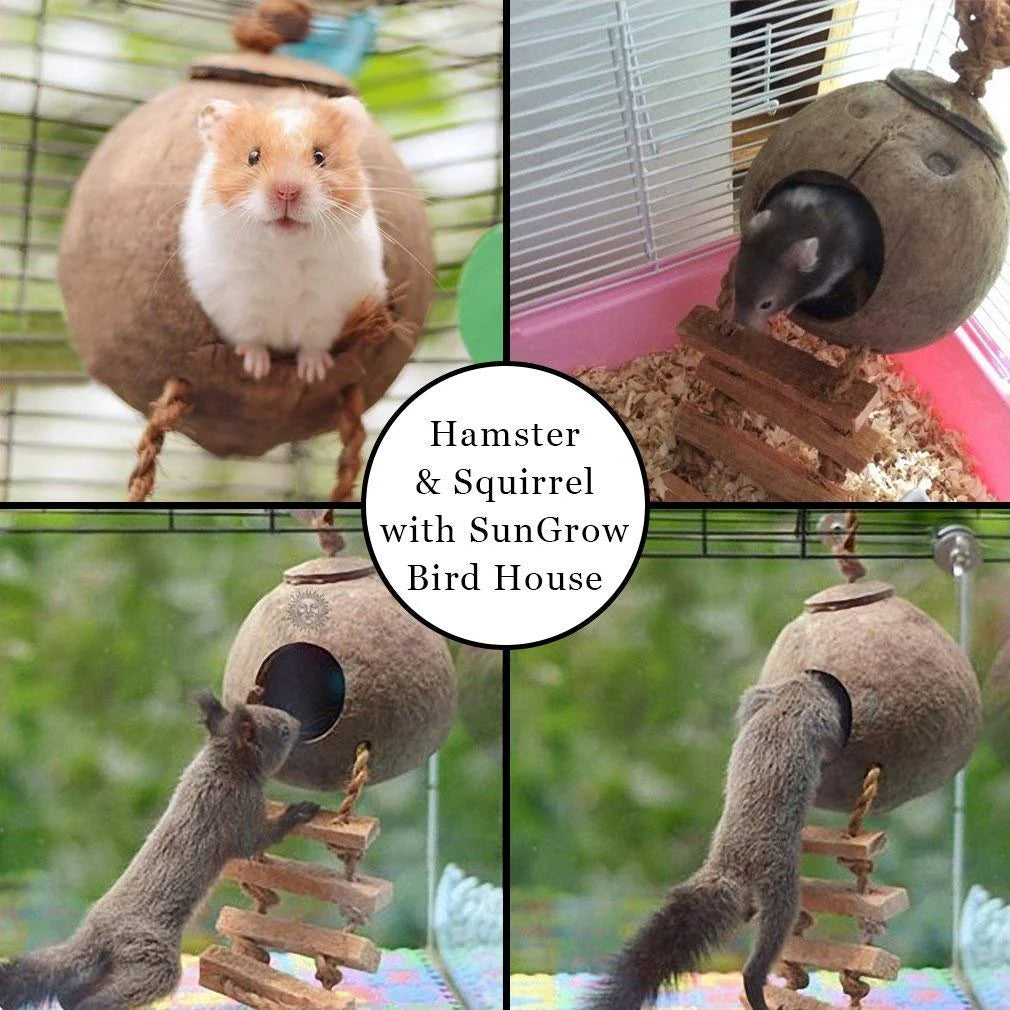 Natural Coconut Shell Nest & Hanging Bird House with Ladder