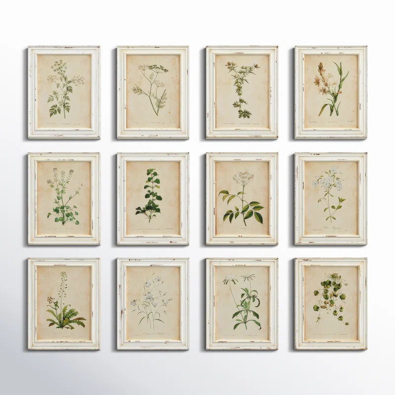" Wild Flower Botanical " 12 - Pieces