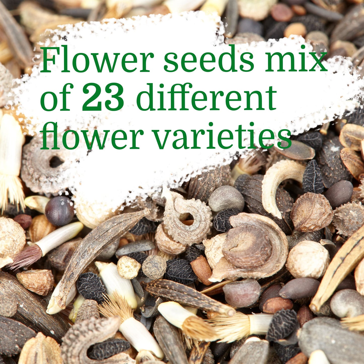 Bee Kind 10000 Wildflower Seeds Mix Flower Seed, Attract Bees
