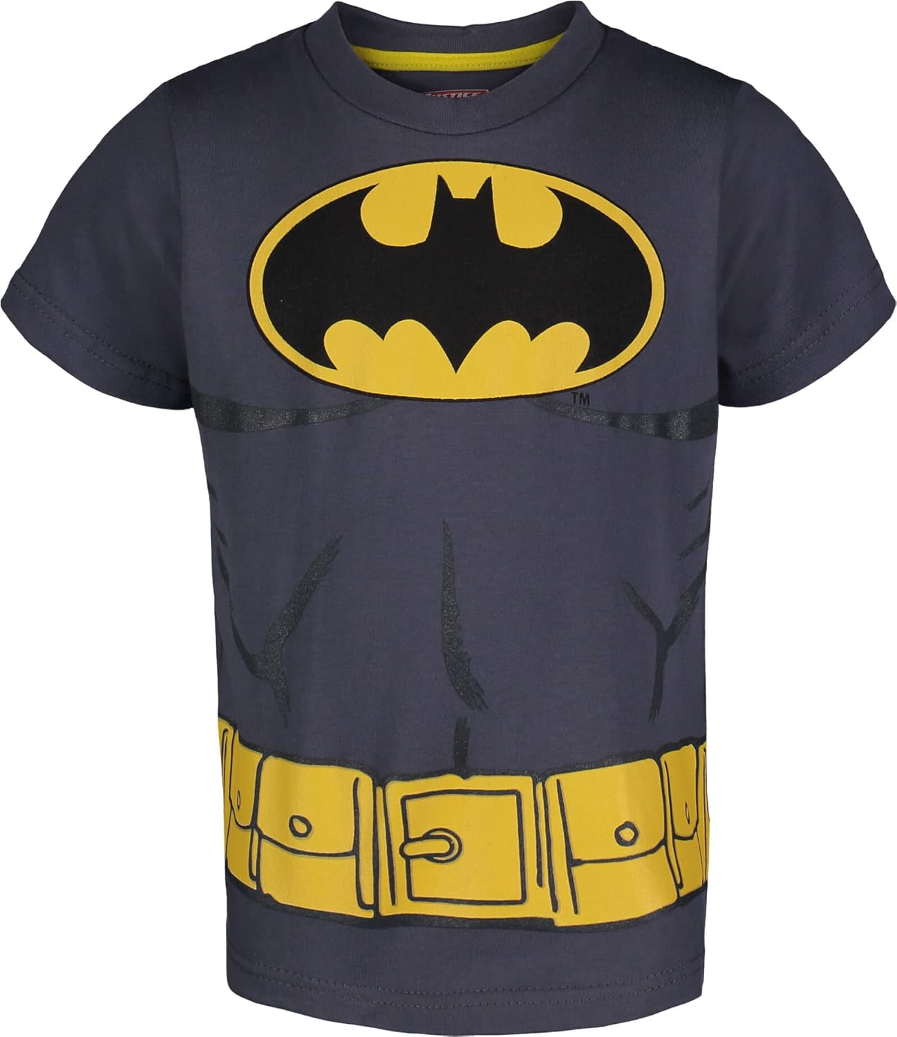 Justice League the Flash Green Lantern Superman Aquaman Batman 5 Pack Boys Graphic T-Shirts Toddler to Big Kid
