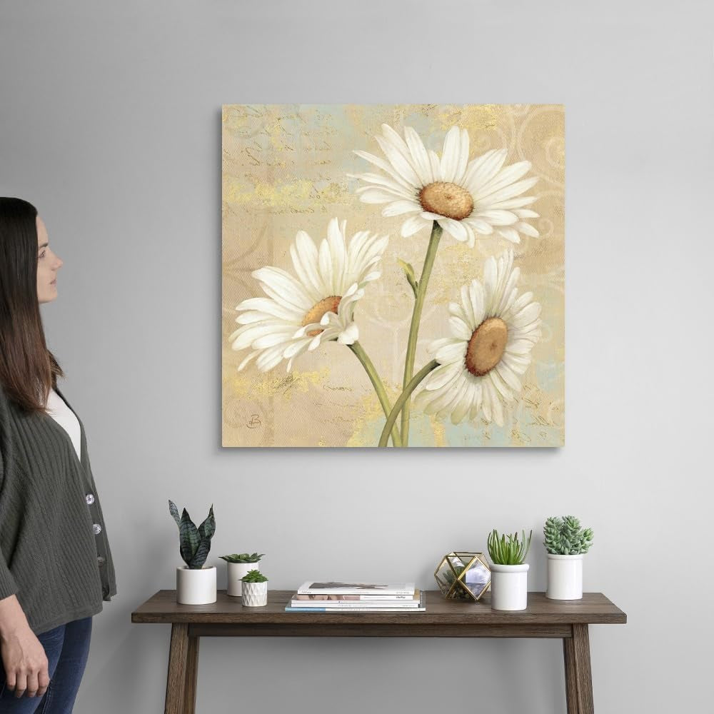 Beautiful Daisies II Canvas Wall Art Print by Daphne Brissonnet, Home Decor, Artwork, 30" X30In