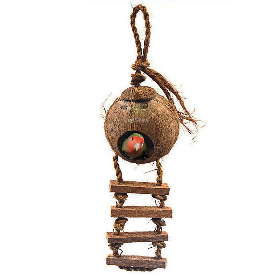 Natural Coconut Shell Nest & Hanging Bird House with Ladder