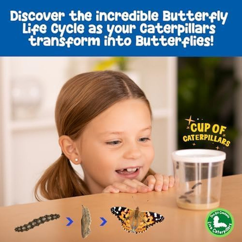 Butterfly Farm™ | Butterfly Kit with Live Cup of Caterpillars | 5 Caterpillars, Reusable Habitat, STEM Butterfly Journal & More