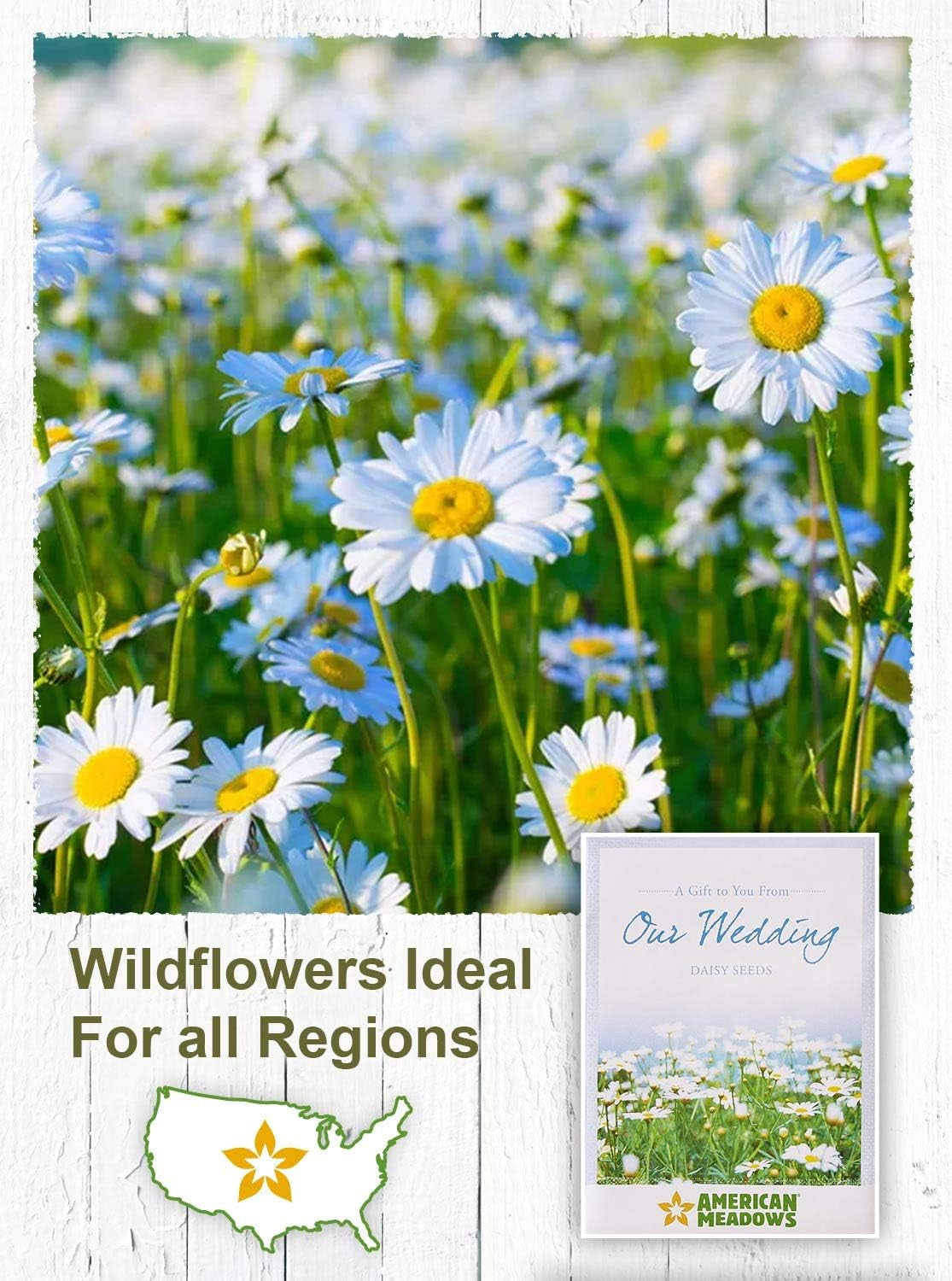 Wildflower Seed Packets Our Wedding Day Party Favors (Pack of 20) - Daisy Seed Wildflower Mix, Party Favors for Wedding Guests