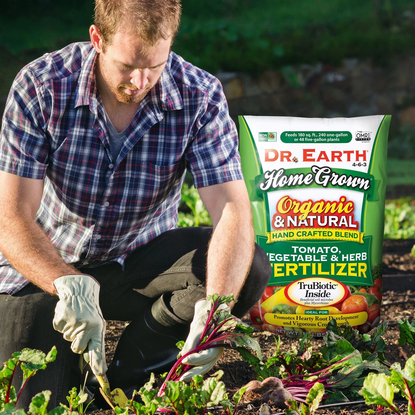 Organic & Natural Home Grown Tomato and Vegetable Food, 4-6-3 Fertilizer, 12 Lb.