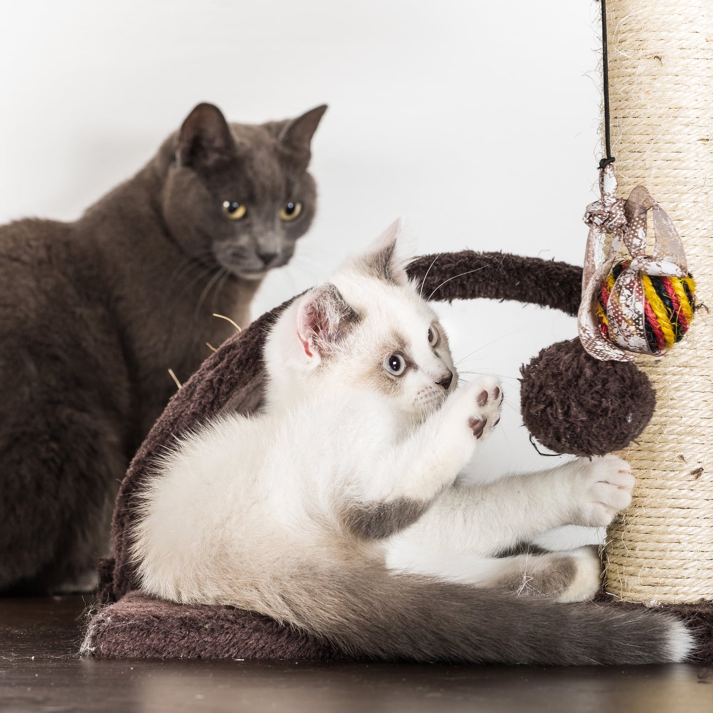 3-Tier Cat Tower - Napping Perches Cat Condo with Ladder 3 Sisal Rope Scratching Posts Hanging Toy ? Cat Tree for Indoor Cats by (Brown)