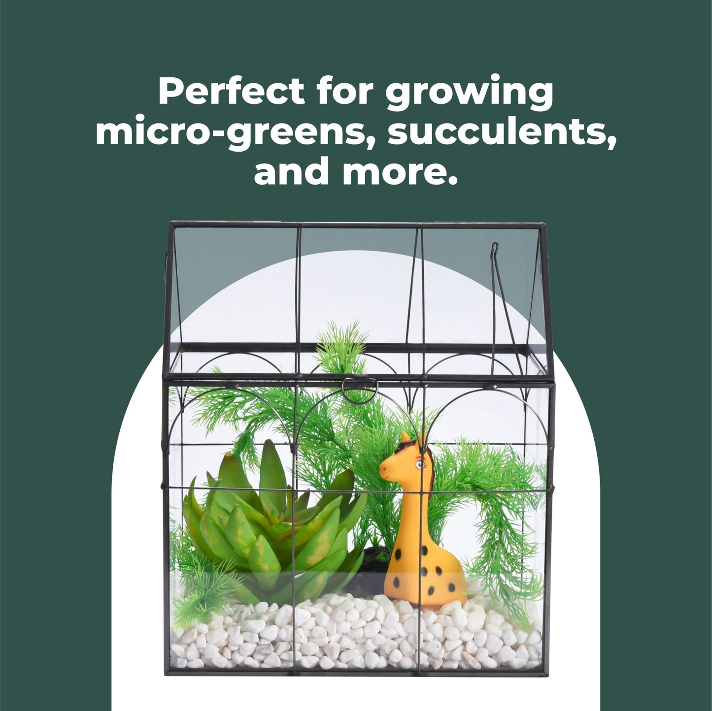 Glass Terrarium with Lid - 9X11X6-Inch Indoor Greenhouse Plant Terrarium Decor Planter Dome - Terrarium Kit Tabletop Greenhouse - Plant Accessories Ideal Gift for Nature Lovers
