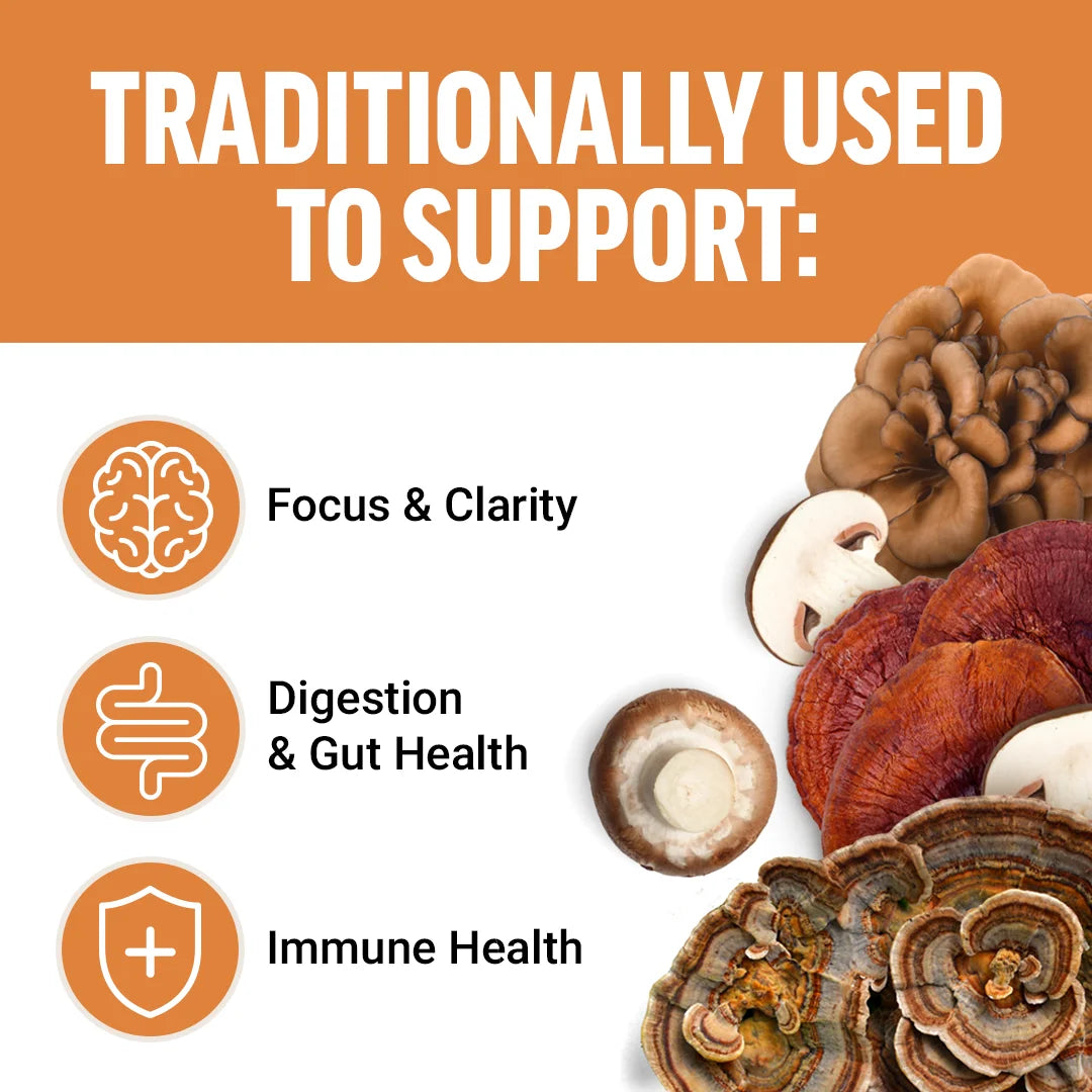 Modern Mushrooms Soft Chews, Mushroom Supplement Complex, Cinnamon Roll, 60 Chews by