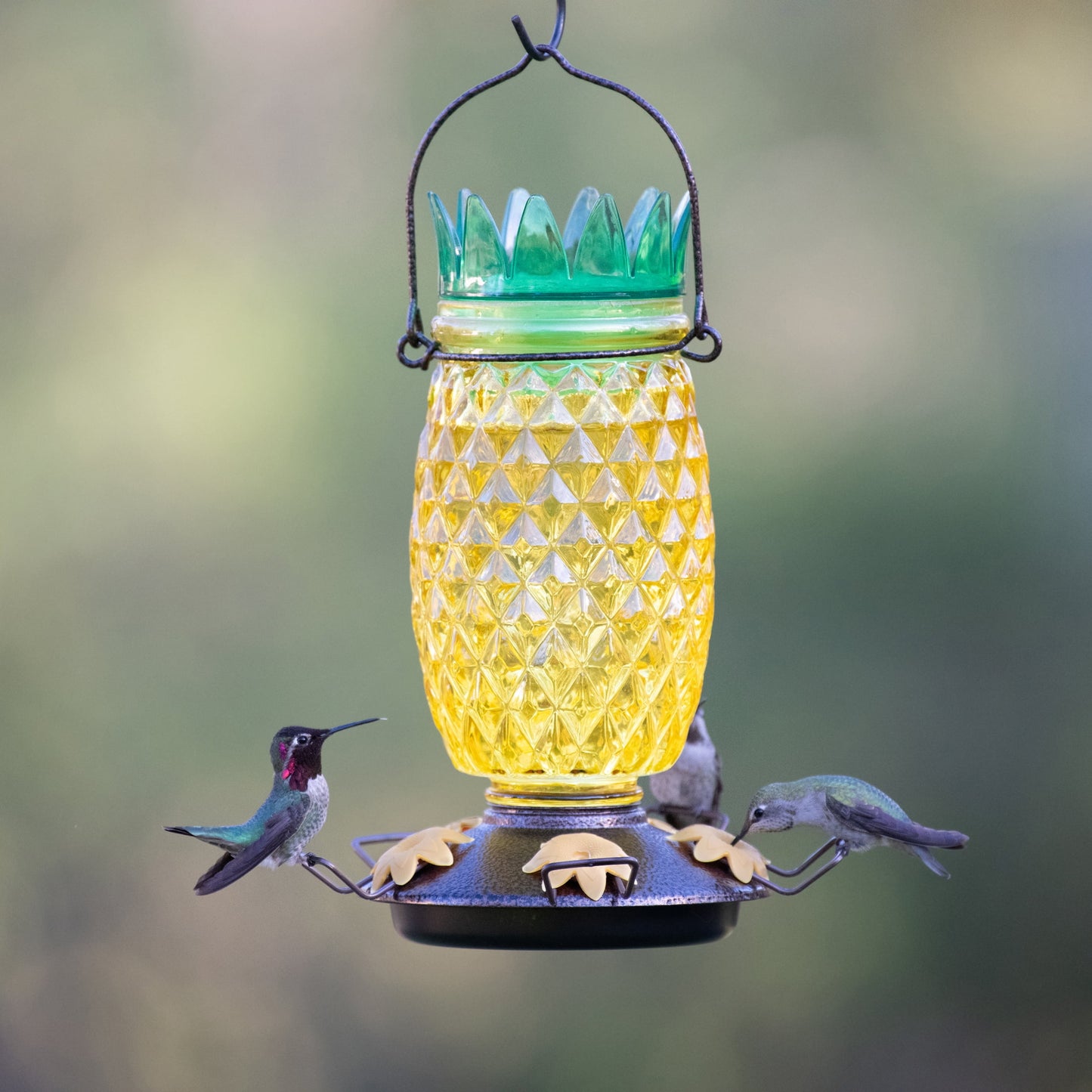Yellow Pineapple Top-Fill Glass Hummingbird Feeder – 28 Oz