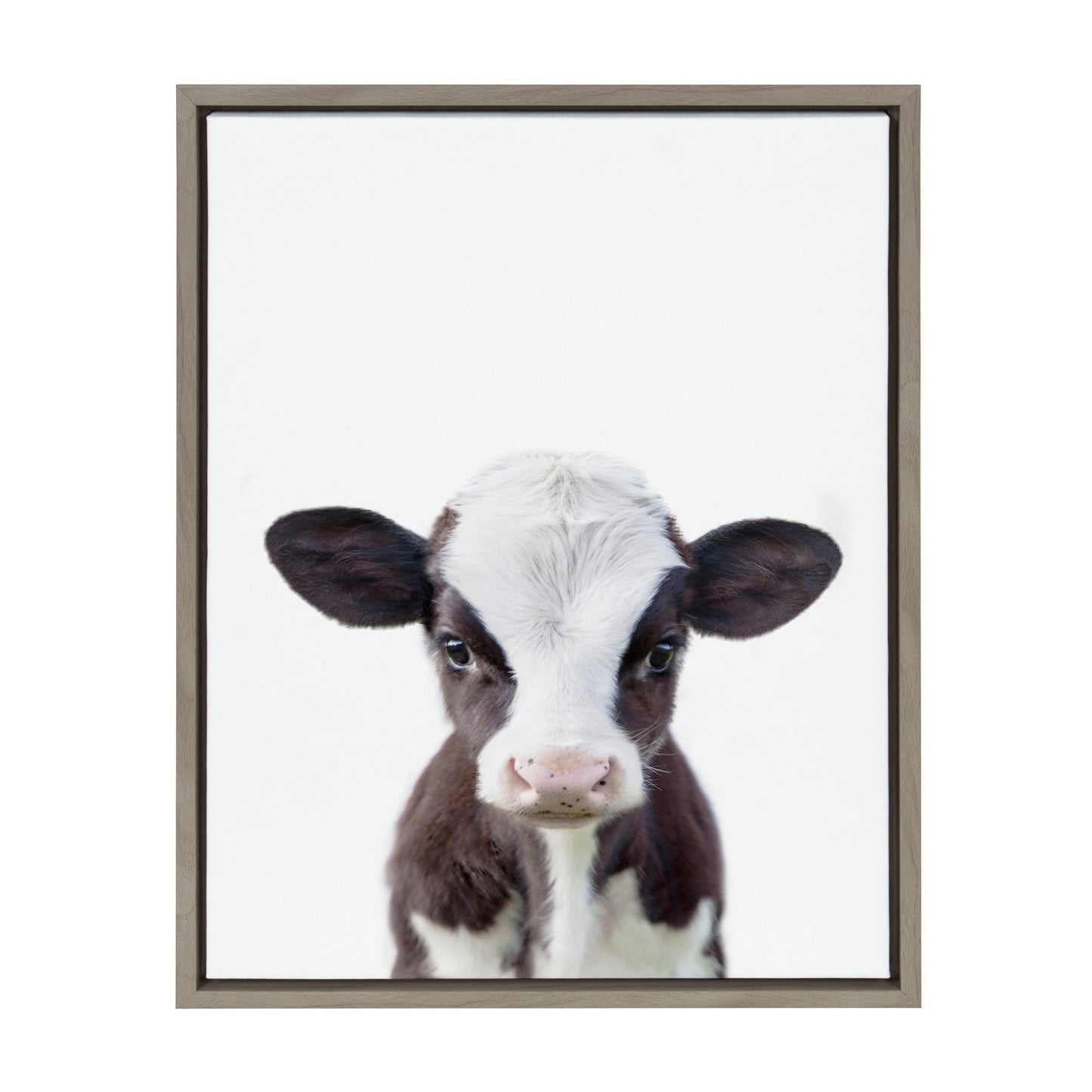 Sylvie Baby Cow Portrait Framed Canvas Wall Art by Amy Peterson, 18X24 Gray, Cute Baby Animal Home Decor for Living Room, Bedroom, or Nursery