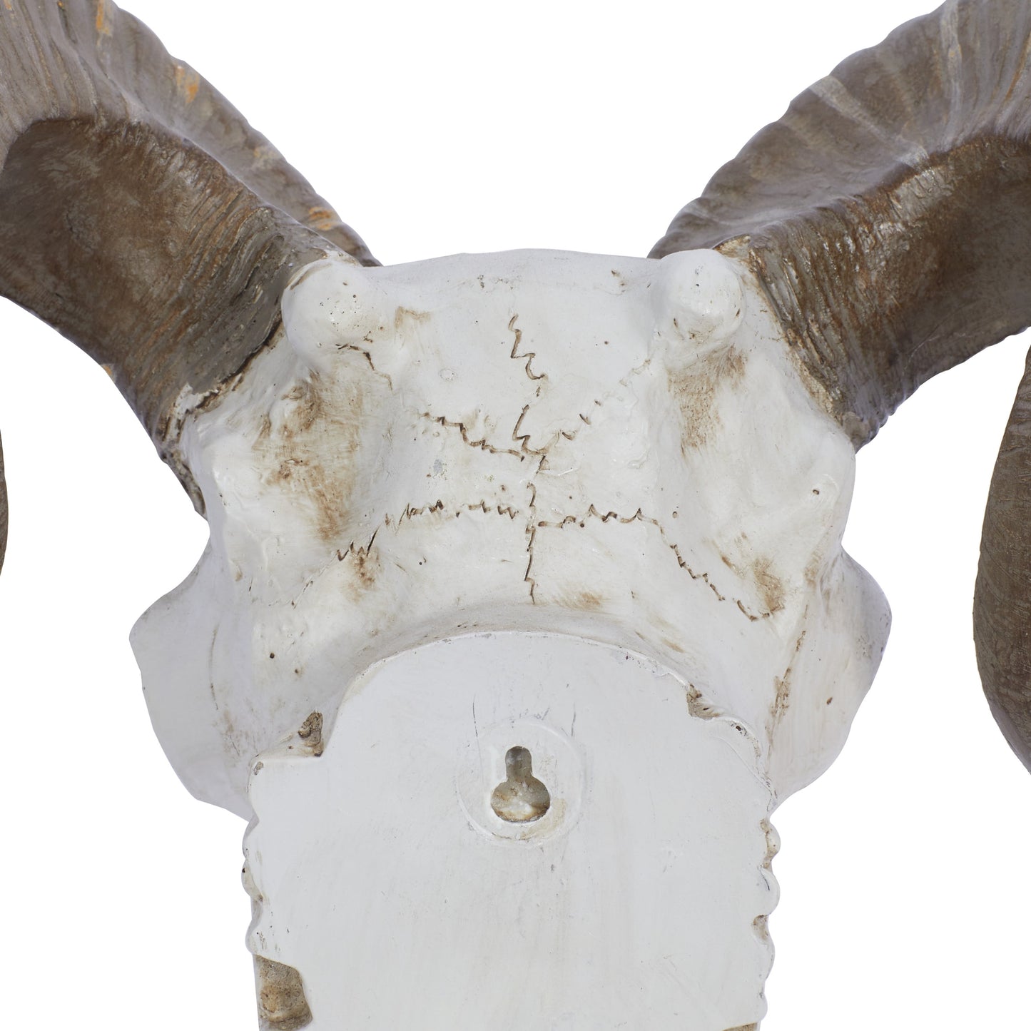 White Polystone Skull Sheep Wall Decor