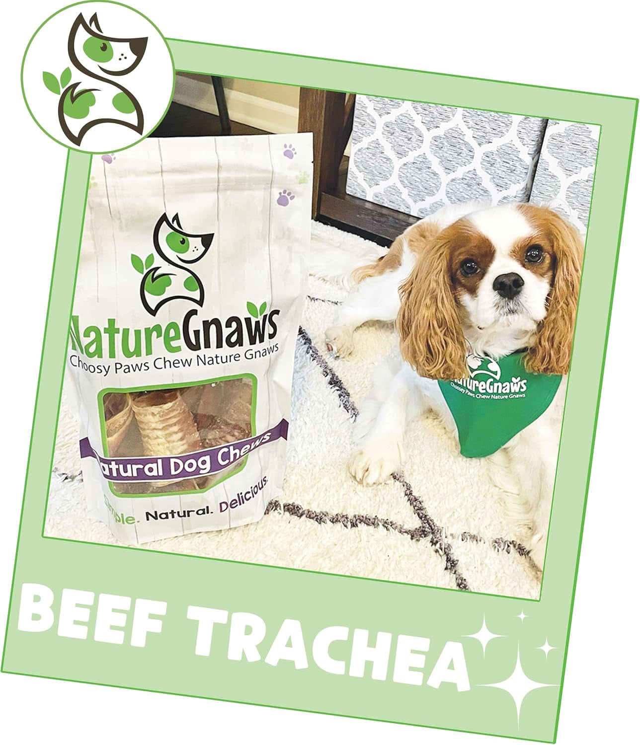 Beef Trachea Chews for Dogs 3" (12 Count) - Long Lasting Natural Crunchy Dog Chew Bones - Rawhide Free