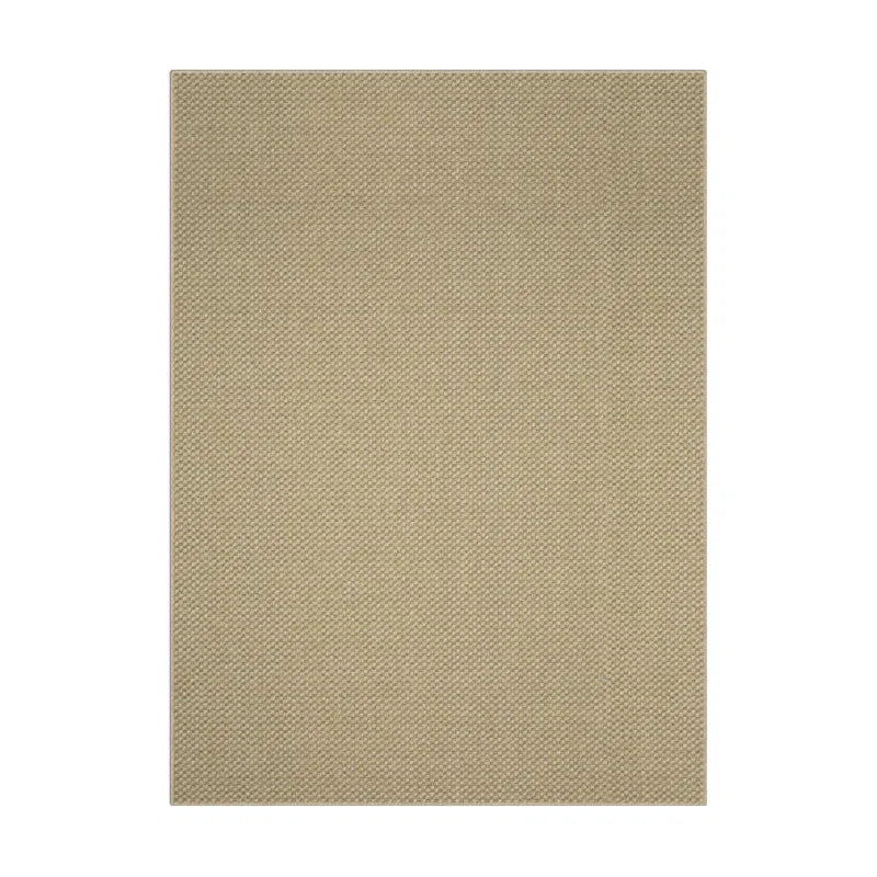 Indoor / Outdoor Rug