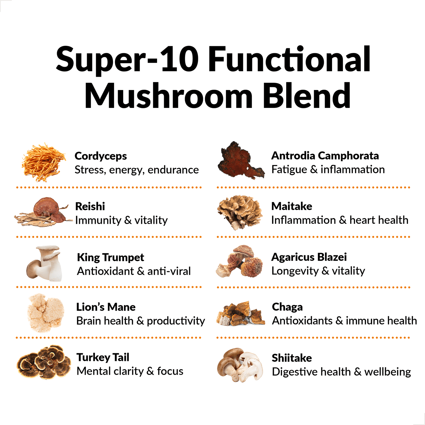 Modern Mushrooms Capsules, Mushroom Complex with Lion'S Mane Supplement, 90 Capsules by