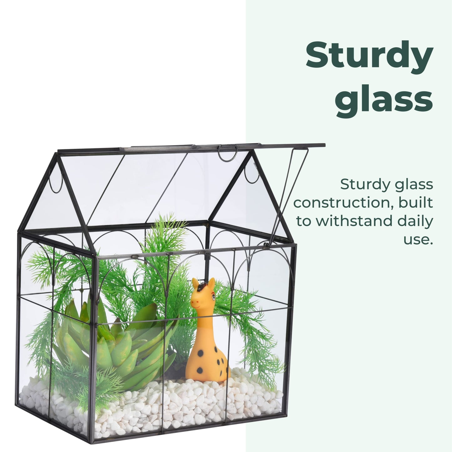 Glass Terrarium with Lid - 9X11X6-Inch Indoor Greenhouse Plant Terrarium Decor Planter Dome - Terrarium Kit Tabletop Greenhouse - Plant Accessories Ideal Gift for Nature Lovers
