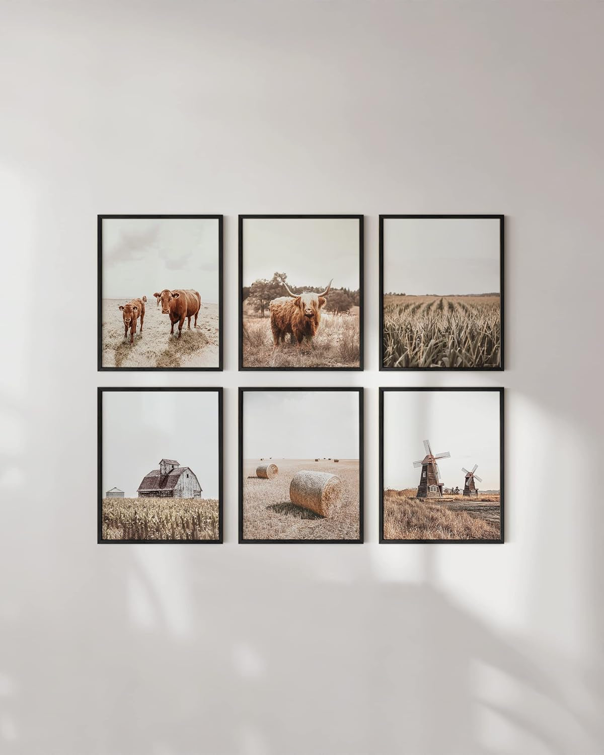 Highland Cow Art and Farmhouse Wall Decor Cow Wall Art and Farmhouse Pictures | Cow Decor | Cow Prints Wall Art | Cow Pictures Wall Décor
