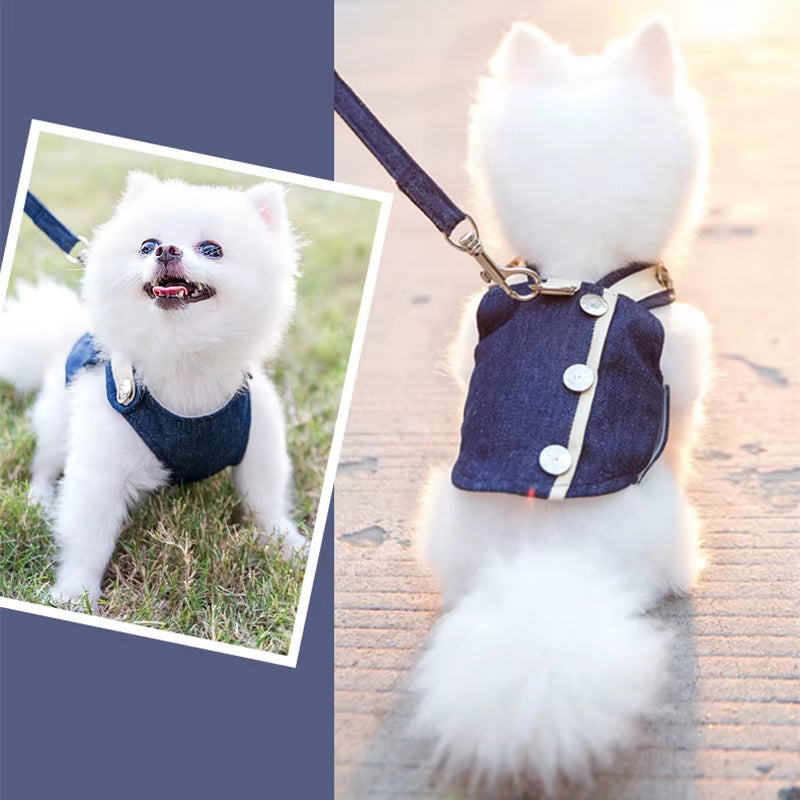 Cute Pet Dog Harness Leash Set Pet Chest Strap Breathable Dog Leash Walking Rope for Small Dogs Pomeranian Pet Vest Harness Rope