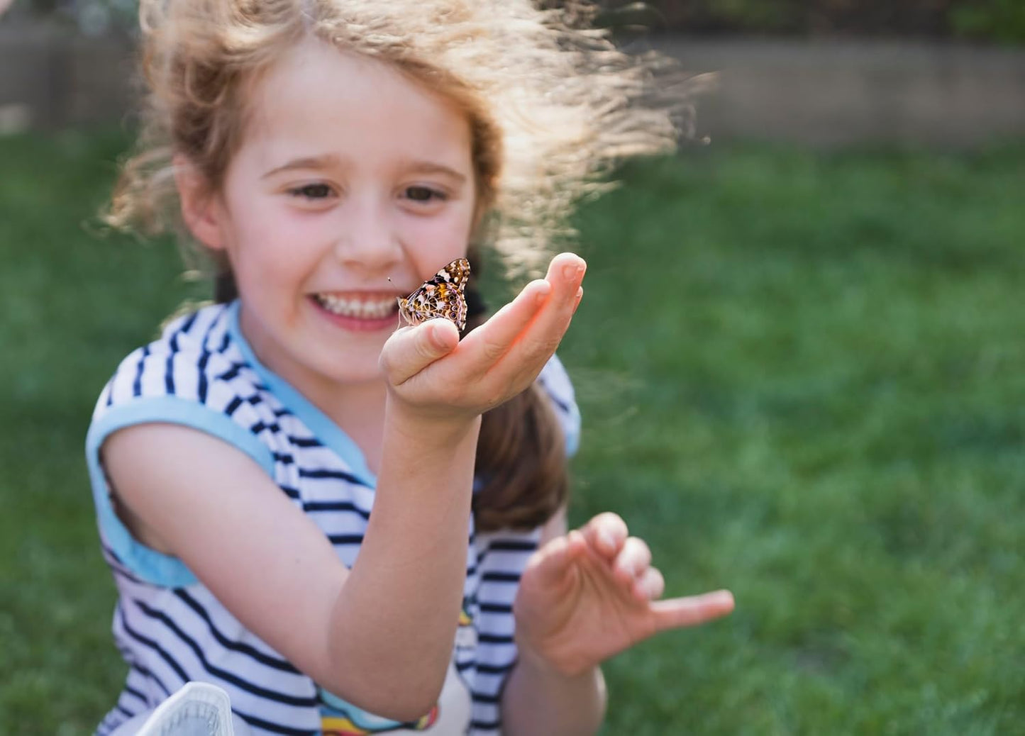 Butterfly Farm™ | Butterfly Kit with Live Cup of Caterpillars | 5 Caterpillars, Reusable Habitat, STEM Butterfly Journal & More