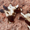 PU Leather Bull Head Earrings