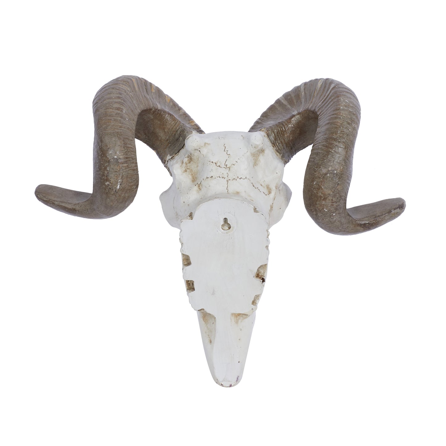 White Polystone Skull Sheep Wall Decor